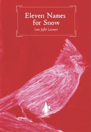 Eleven Names for Snow (Luis Jefte Lacourt)