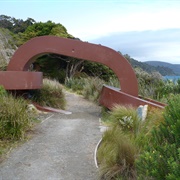 Chain Link Sculpture, Rakiura Track