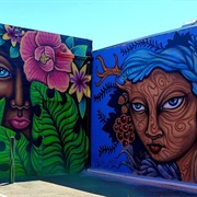 Hidden Murals of Lemon Grove