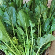 Cima Di Rapa