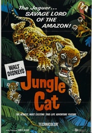 Jungle Cat (1960)