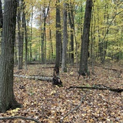 Stratford Woods State Nature Preserve