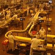 Tillamook Cheese Factory Tour, OR