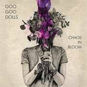 Goo Goo Dolls - Chaos in Bloom