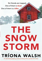 The Snowstorm (Triona Walsh)