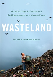 Wasteland (Oliver Franklin-Wallis)