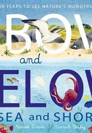 Above and Below: Sea and Shore (Harriet Evans &amp; Hannah Bailey)