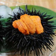 Sea Urchins