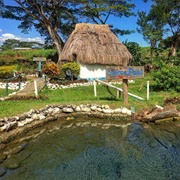 Sabeto Hot Spring and Mud Pool, Nadi, Fiji
