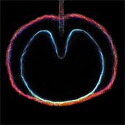 XTC - Wasp Star (Apple Venus Volume 2)