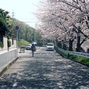 Toyonaka, Japan