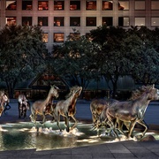 The Mustangs of Las Colinas, Texas