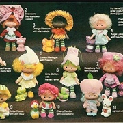 Strawberry Shortcake Dolls and Pets