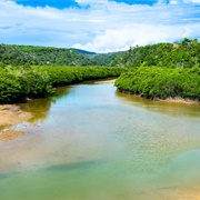 Northern Part of Okinawa Island