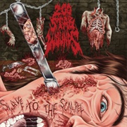 200 Stab Wounds -Slave to the Scalpel