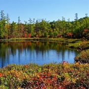 Tinker&#39;s Creek State Nature Preserve