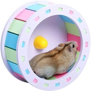 Hamster Wheel