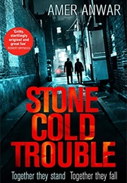 Stone Cold Trouble (Amer Anwar)