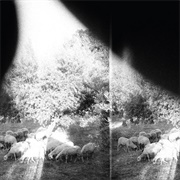 Asunder, Sweet and Other Distress (Godspeed You! Black Emperor, 2015)