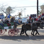 Tucson Rodeo Parade Museum