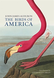 The Birds of America (Audubon)