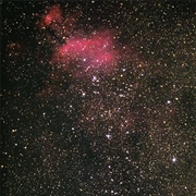 Ngc 6231