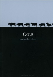 Cow (Hannah Velten)