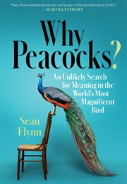 Why Peacocks? (Sean Flynn)