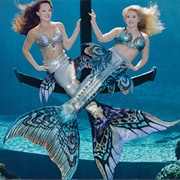 Weeki Wachee: City of Live Mermaids