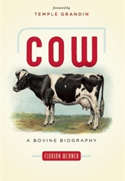 Cow: A Bovine Biography (Florian Werner)