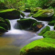 Rocky Fork State Park, Tennessee