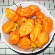 Habanero Pepper in Havana, Cuba