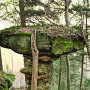 Wahkeena State Nature Preserve