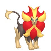 Pyroar (Male)