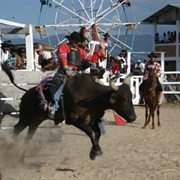 Rupununi Rodeo, Lethem, Guyana