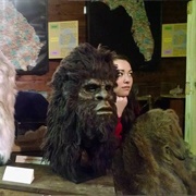 Expedition Bigfoot (The Sasquatch Museum)