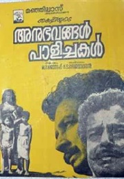Anubhavangal Paalichakal (1971)