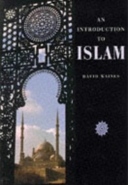 An Introduction to Islam (David Waines)