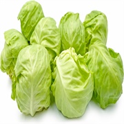 Green Cabbage