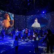 Disney Animation Immersive