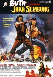 The Warrior and the Blind Swordsman (1983)