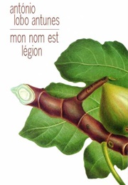 Mon Nom Est Légion (António Lobo Antunes)