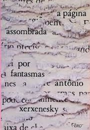 A Página Assombrada Por Fantasmas (Antônio Xerxenesky)