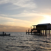 Pasco County Stilt Houses