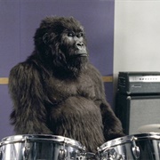 Cadbury Gorilla Commercial