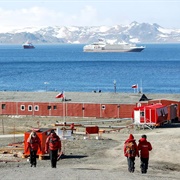 King George Island, South Shetland Islands, Antarctica