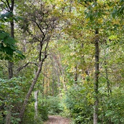 Thomas (Sharon Woods) State Nature Preserve