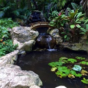 Sunken Gardens