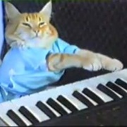 Play Him Off, Keyboard Cat