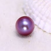 Aubergine Pearl